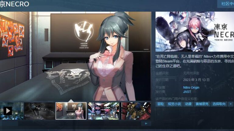 简中版《凍京NECRO》Steam上线 3月13日发售